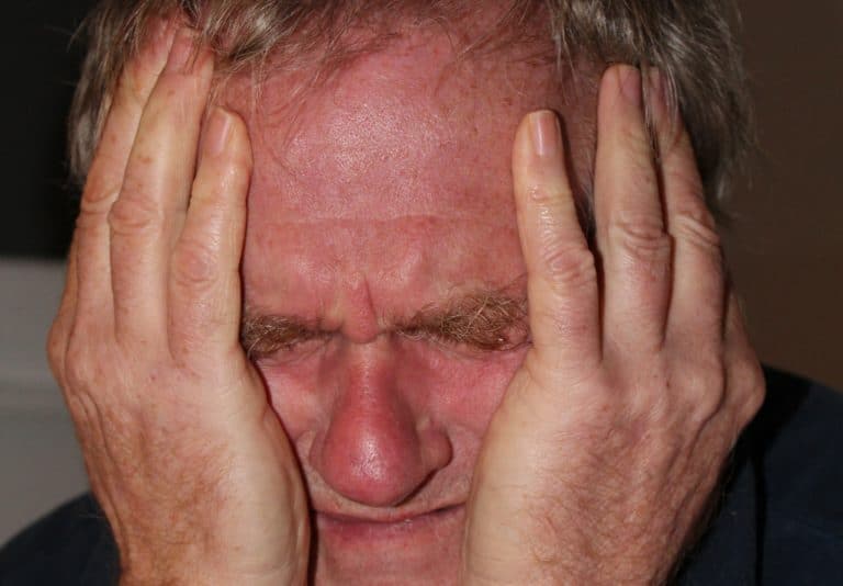 Tips to train a dog like a pro