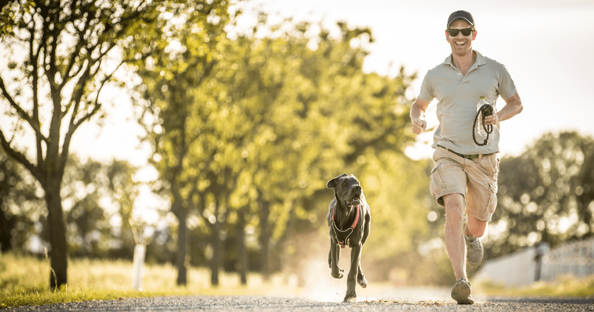 jogging with a dog