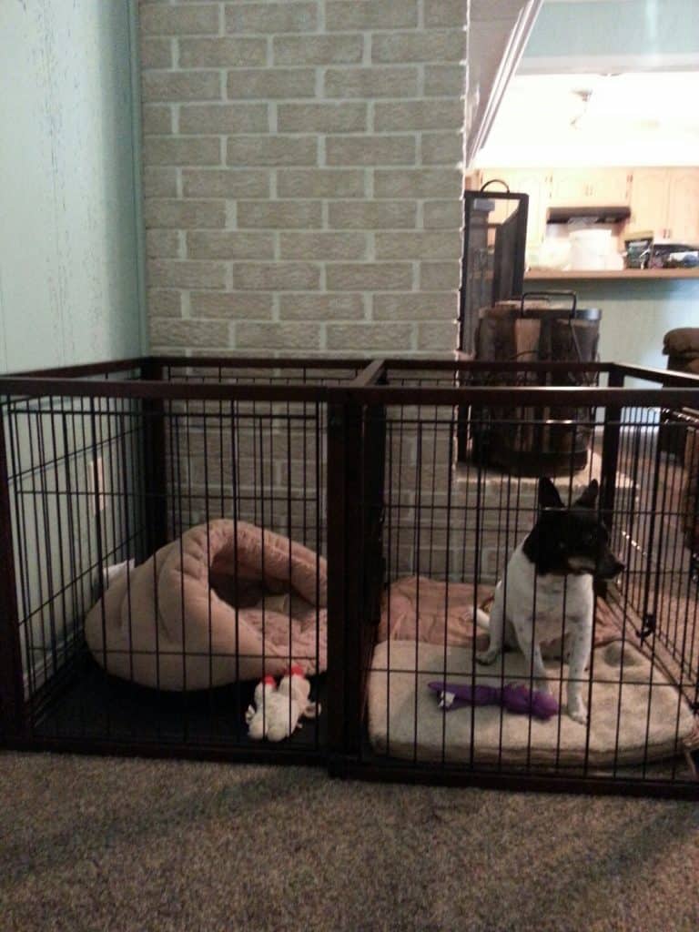 Flip to Play Dog Crate