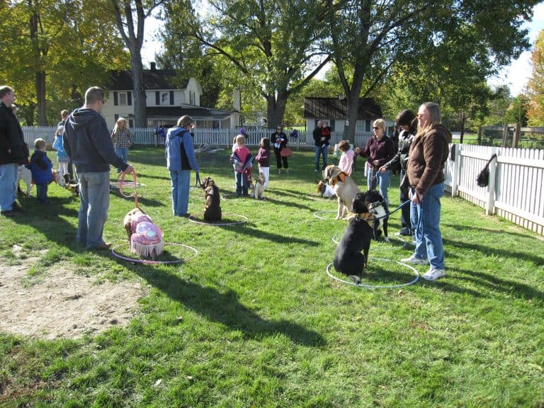 Dog Training Glossary: What Do Dog Training Terms Mean?