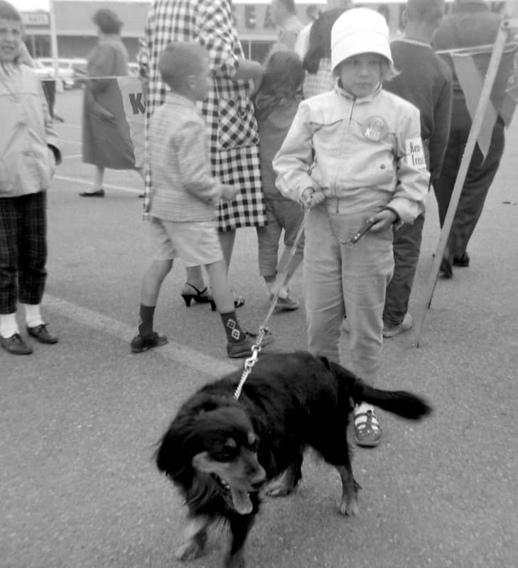 What Children can Learn by Having a Dog in the Family