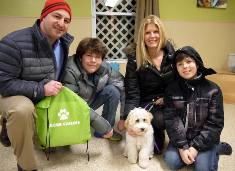 The Undeniable Benefits of Giving Your Dog Obedience Training Classes