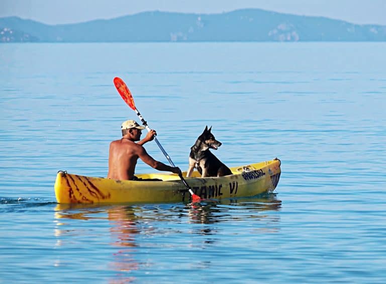 Dog-Friendly Activities And Holidays In The UK