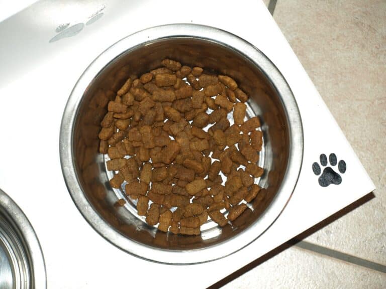 The truth behind dog food marketing