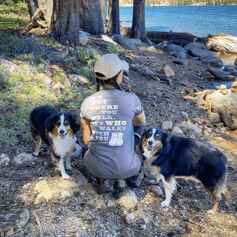 Five Warm Weather Safety Tips for Your Dog