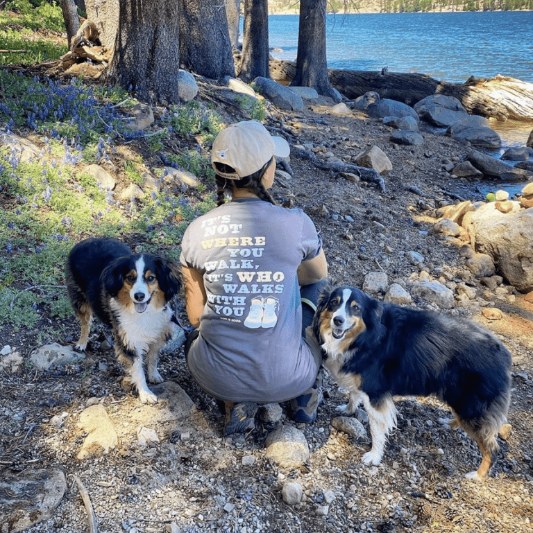 Important summer health tips for your dog