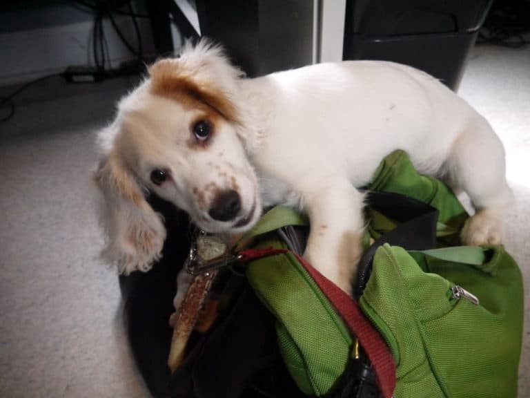 Socialization, socialization, socialization