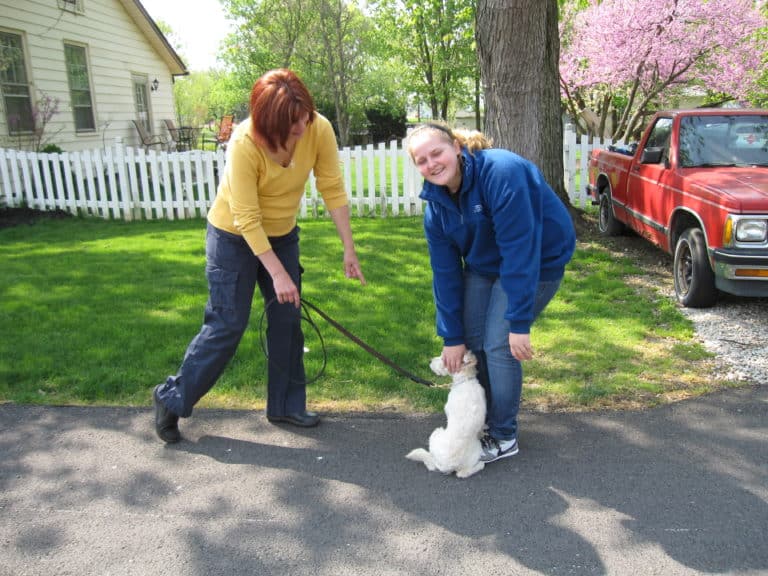 What Parents need to teach their children to ensure a good relationship with their dog