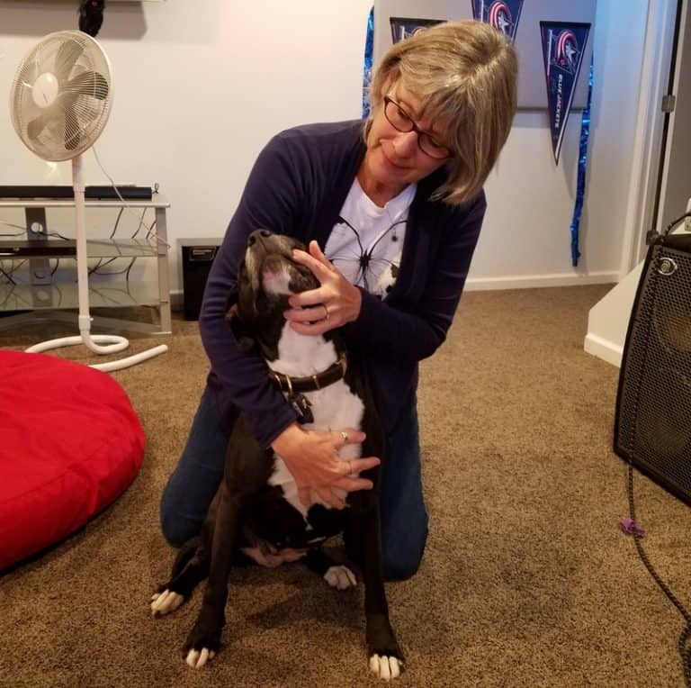 A daily snout to tail examination of your dog accomplishes 3 important things