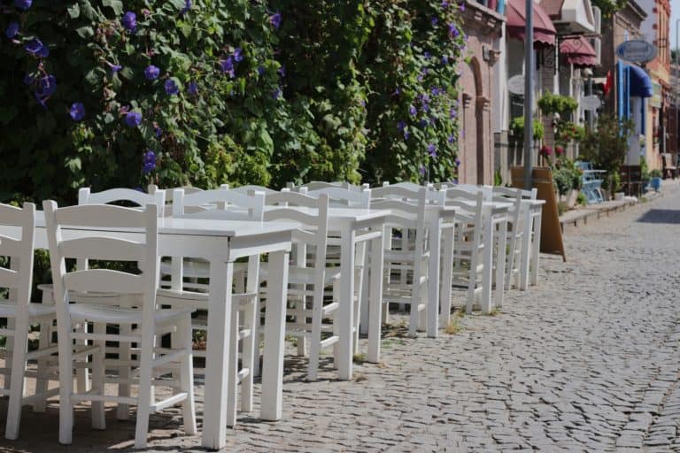 Should dogs be allowed in designated outdoor dining spaces?