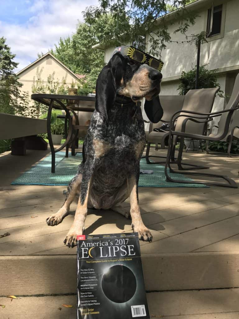 Will your dog freak out with the total solar eclipse?