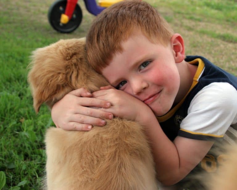 Coping with grief after your dog is gone: Talking with your children