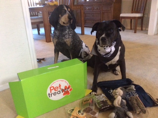 DOG PRODUCT REVIEW: Dog subscription box services fad or future (part 2 of a series)