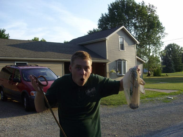 Choosing a daycare for your dog – Part 2 of a series: potty areas