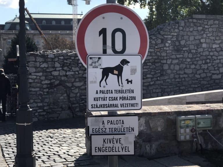 Dogs of Budapest, Hungary