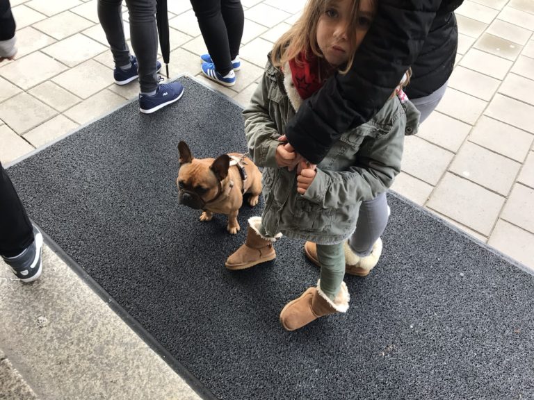 Dogs of the Netherlands part 2