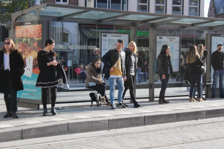 The Best Vacation Destinations for Couples With a Dog