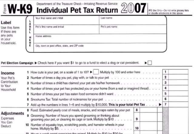 DOG TRICK: Hide your Head!