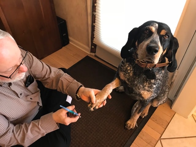 Zen Clippers Reviewed: Clips the Tips, Not the Quick