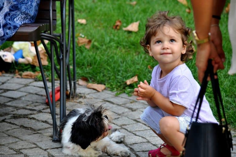 What can children learn by having a dog in the family?