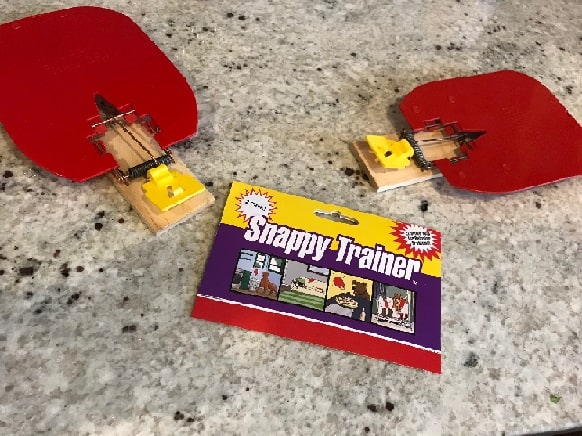 Snappy Trainer Review: A Safe, Inexpensive Training Product