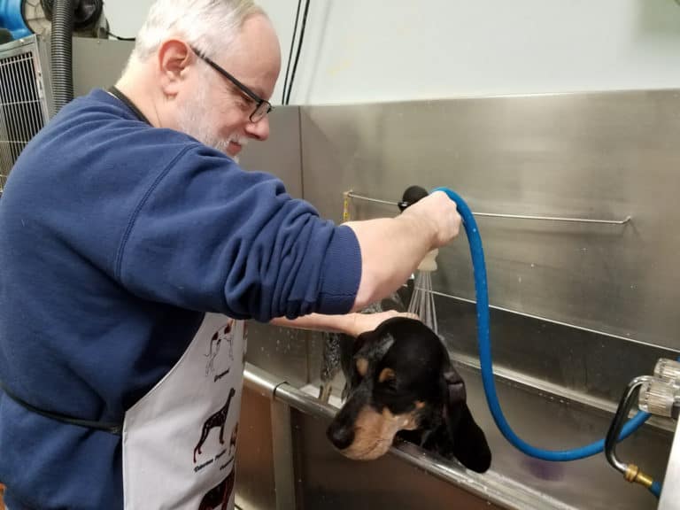 DOG PRODUCT REVIEW: HomeBrewed Dog Soap