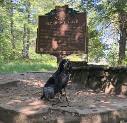 Canine Courtesy while hiking on the trails of Hocking Hills
