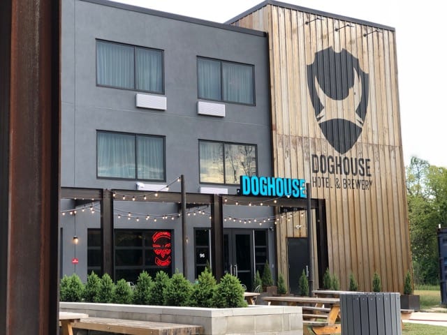 BrewDog: the hoppiest place on earth and a super place for dogs