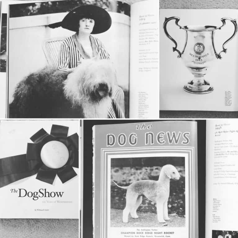 143rd Westminster Kennel Club Dog Show Here We Come