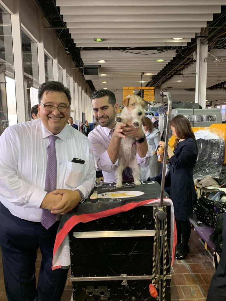 Five Tips To Prepare Your Pet For A Dog Show