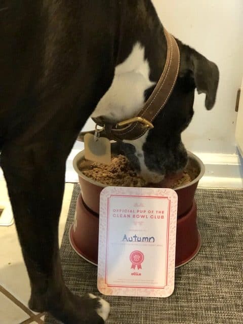 Ollie Raw Dog Food