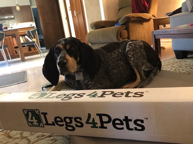 PRODUCT REVIEW: 4 Legs 4 Pets cots