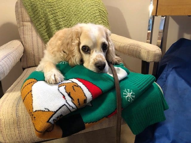 PRODUCT REVIEW:  Ugly Christmas Sweaters for you and YOUR DOG