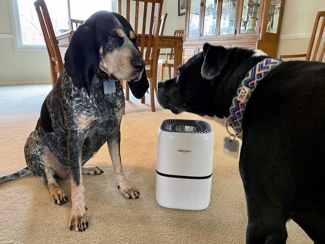 PRODUCT REVIEW: Okaysou Airmic4S Medical Grade Air Purifier