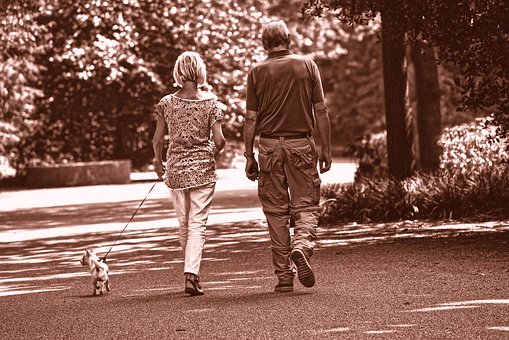 5 Best Dog Breeds for Seniors