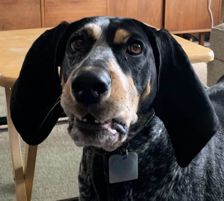 ARE YOU A LEADER OR FOLLOWER?