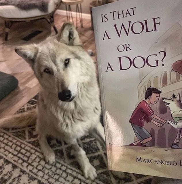 PRODUCT REVIEW:  Is That A Wolf or A Dog?