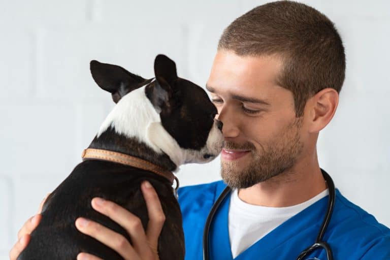 Top 9 Things to Consider When Finding the Right Vet for Your Dog