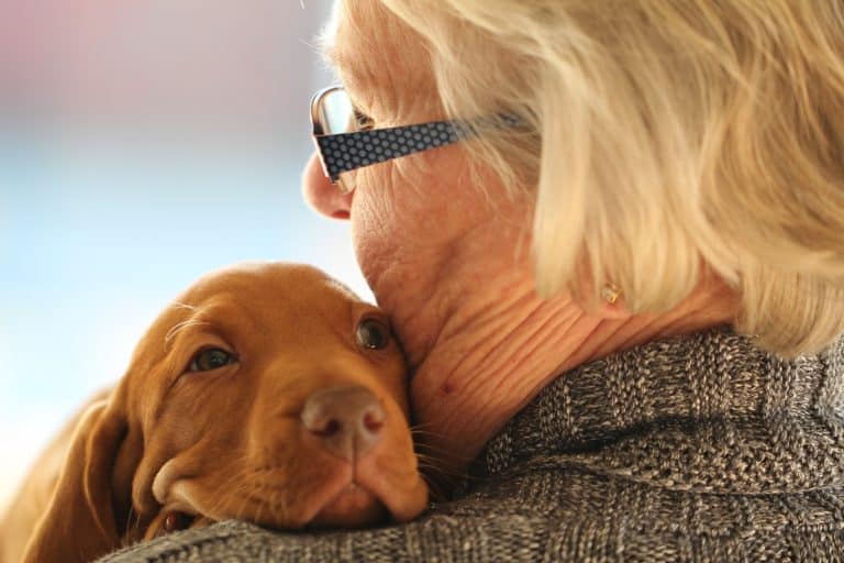 Benefits of Dog Ownership to Senior Citizens