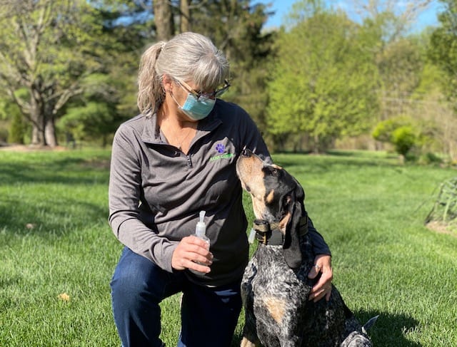 Quarantine-Friendly Activities for Dogs