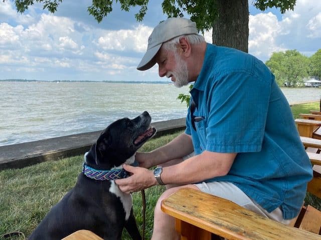 Pawp.com, a Great Pet Insurance Alternative