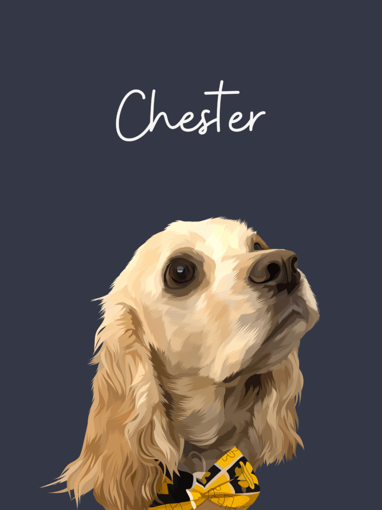 Max & Milow Pet Portraits