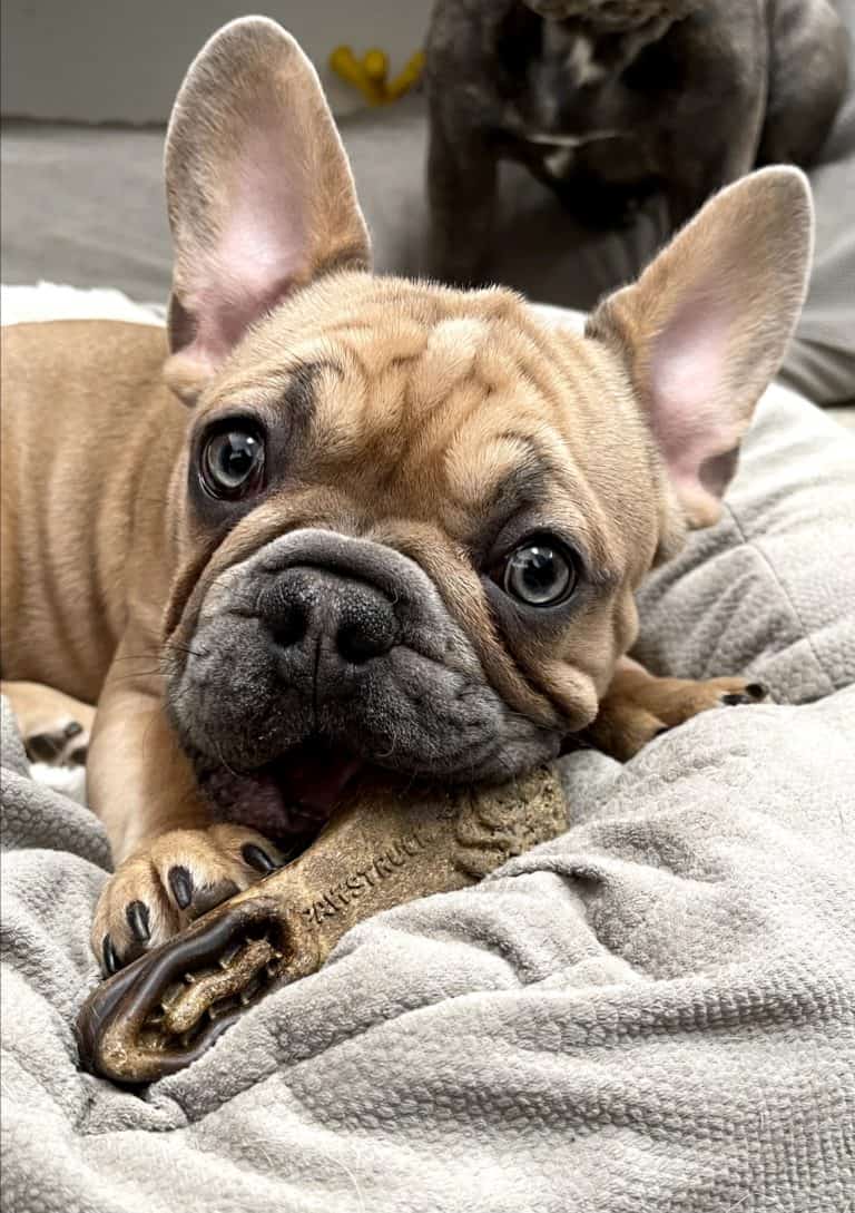 What it means to be a Leader