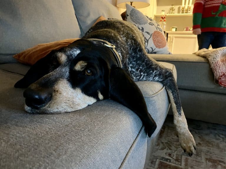 Bad manners and setting boundaries