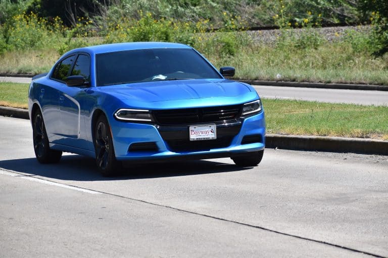 Stop your dog from chasing cars and bicycles