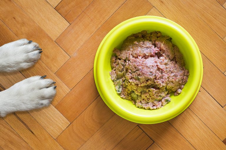 Is your dog a fast eater?  It’s time to slow them down