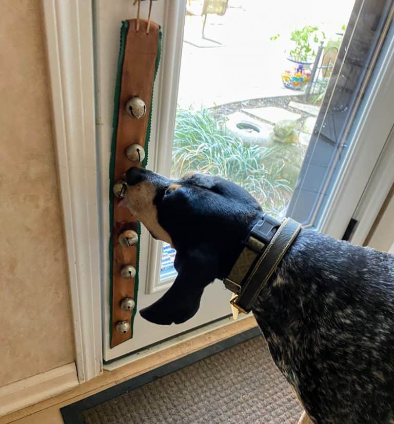 Teaching your dog to ring a bell to go out