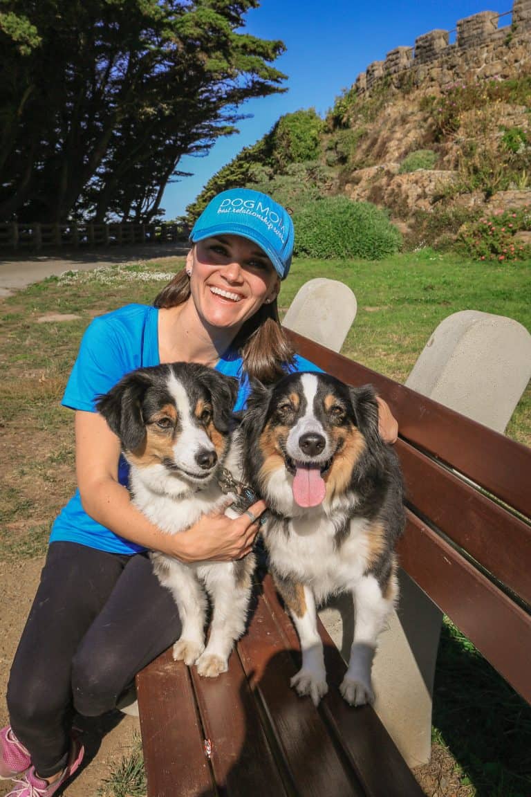 Handling Exercises for Canine Socialization