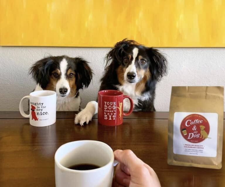Coffee and your dog