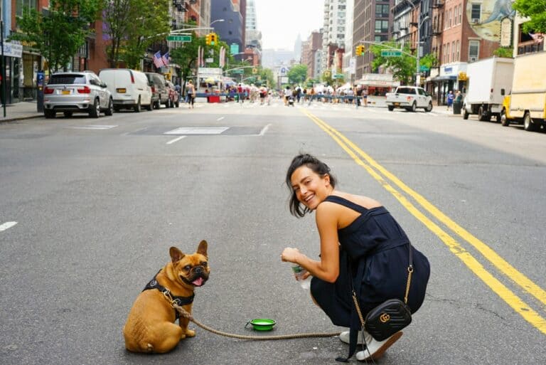 Advice for Living with Dogs in a Big City